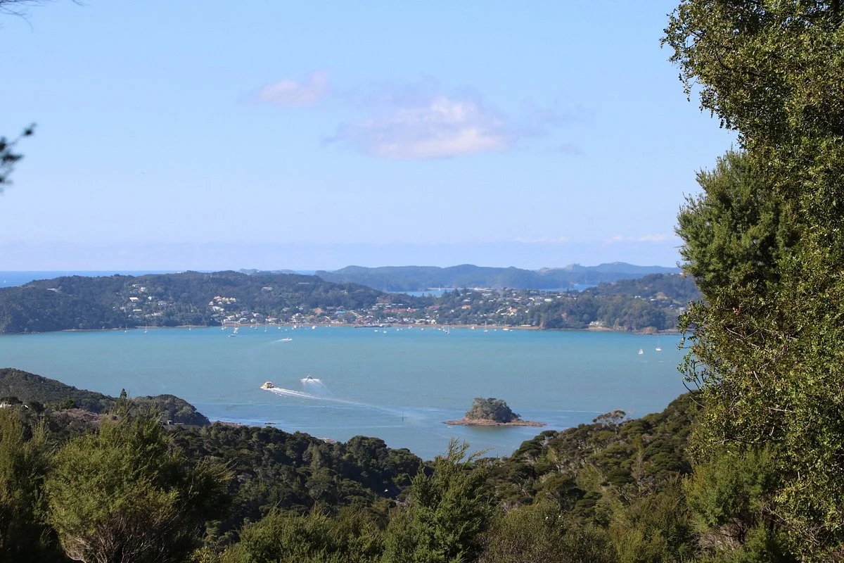 Opua Forest Lookout Track