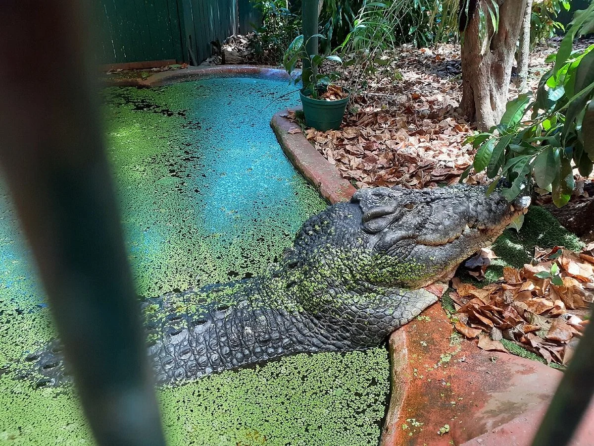 Marineland Crocodile Park