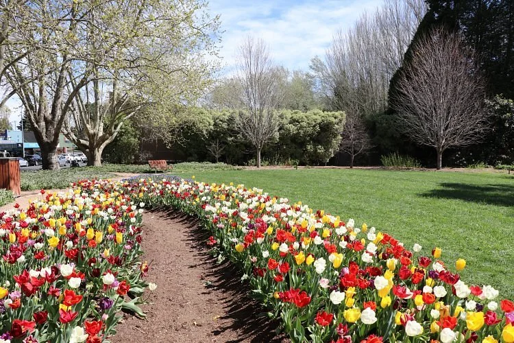 Leighton Gardens