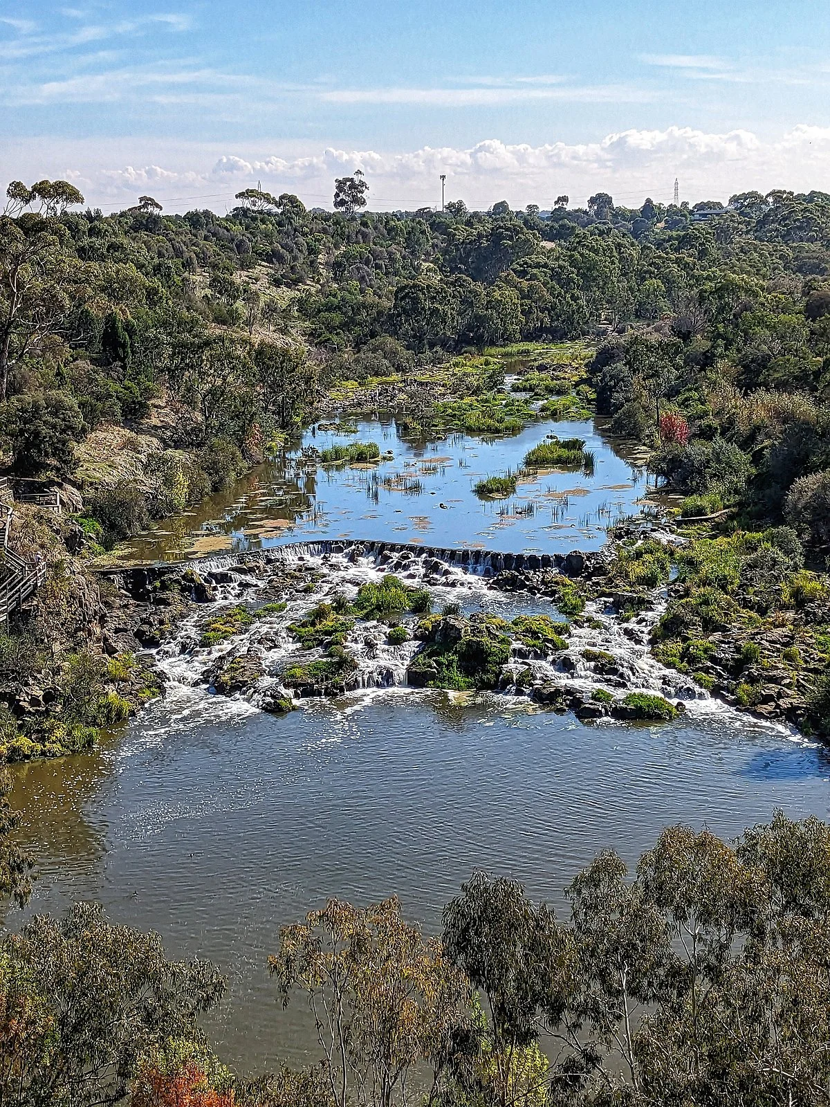 Buckley Falls
