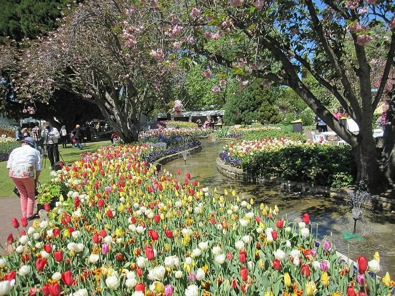 Southern Highlands
