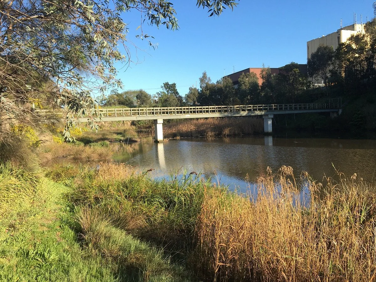 McConchie Reserve