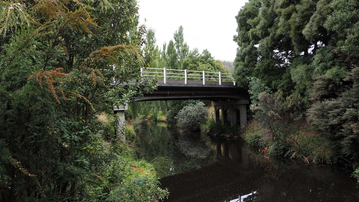 Platypus Walk