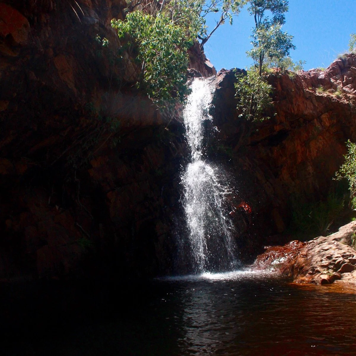 Molly Springs