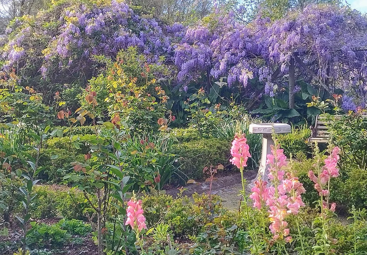Katikati Bird Gardens