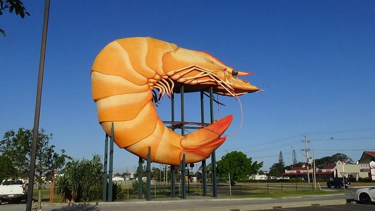 Big Prawn