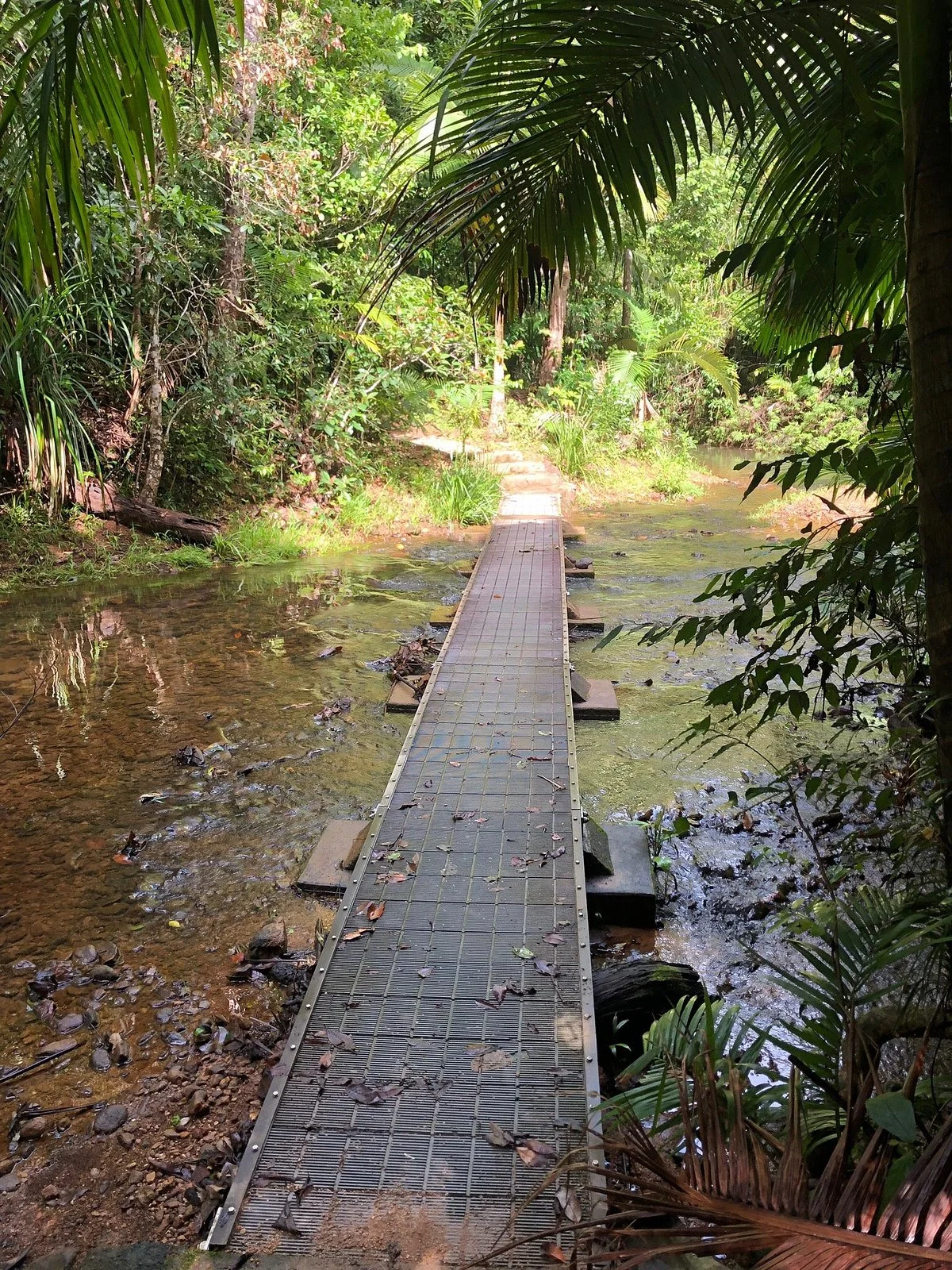 Djiru National Park