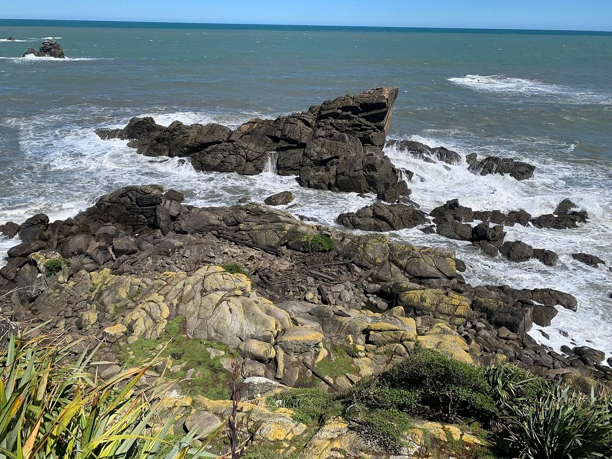 Tauranga Bay Seal Colony