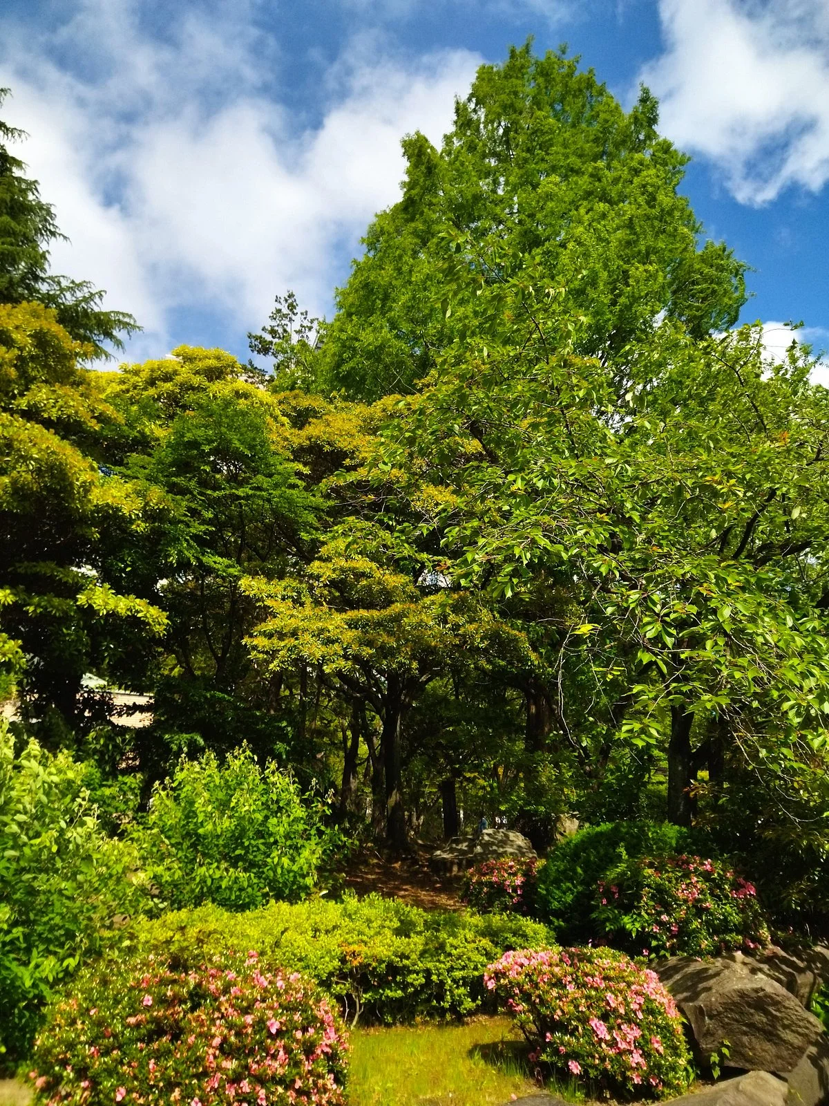 Kotodai Park