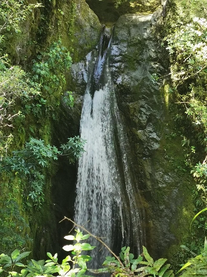 Glentui Loop Track