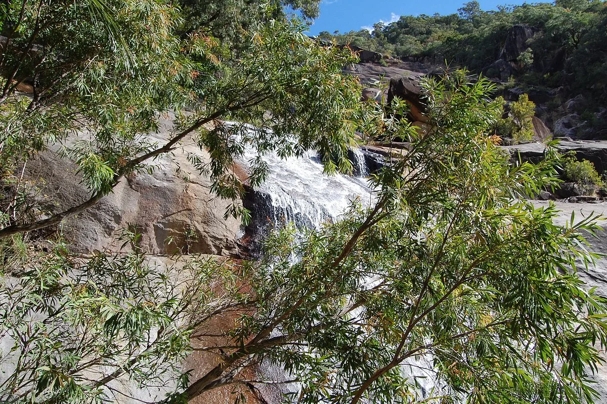 Alligator Falls Track