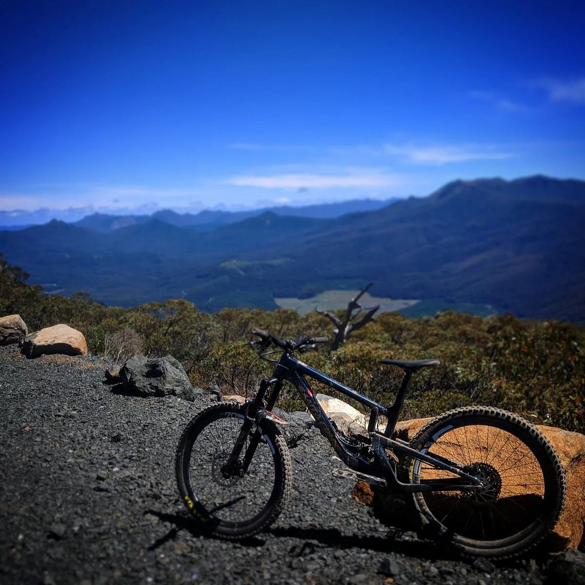 Maydena Bike Park