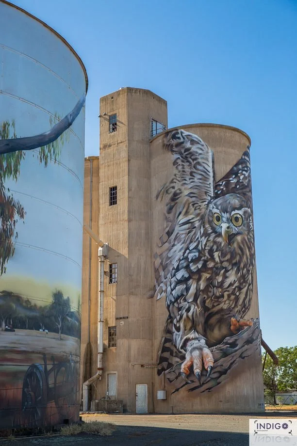 Goorambat Silo Art
