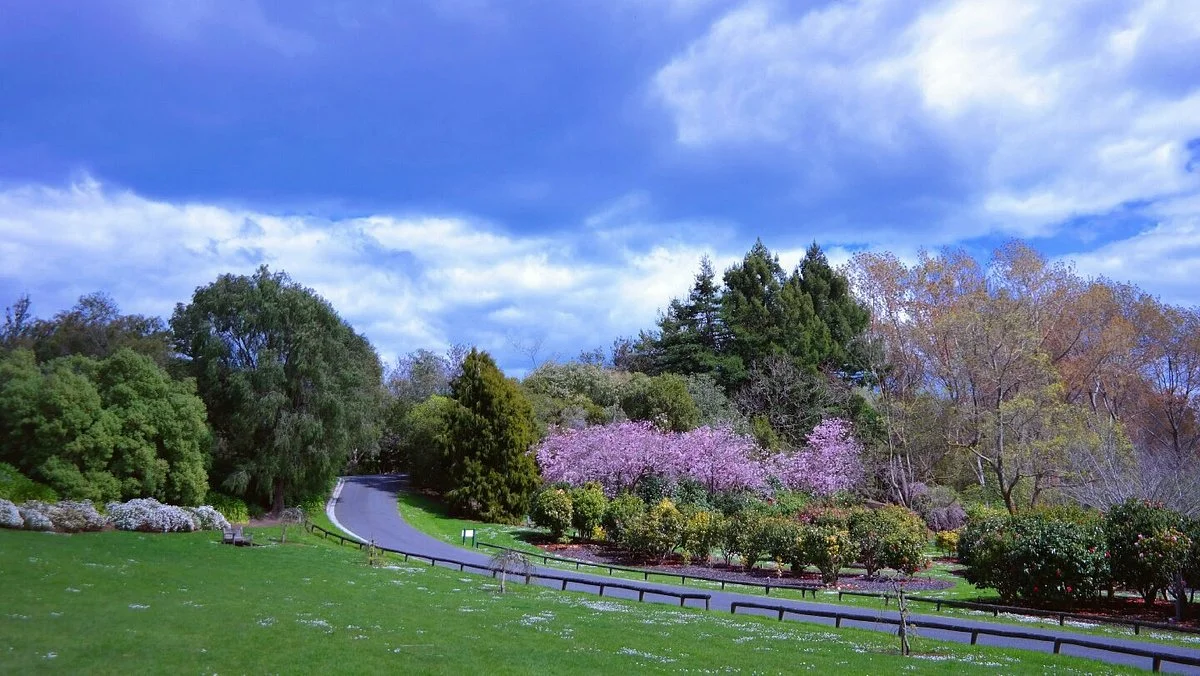 Bason Botanic Gardens
