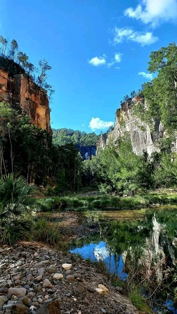 Carnarvon Gorge