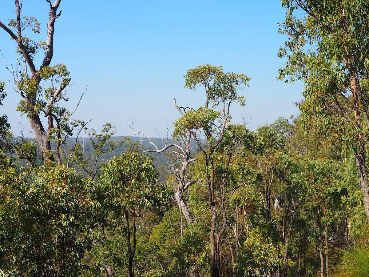 Jorgensen Park Walk Trail