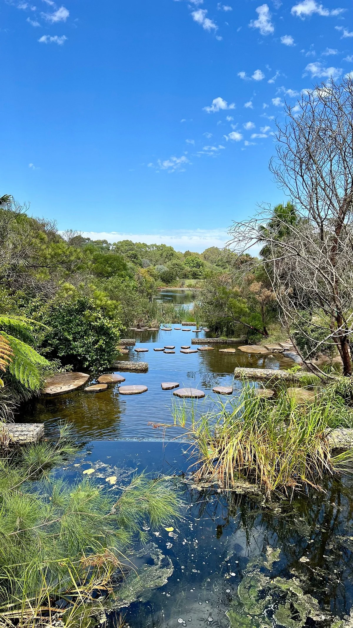 Sydney Park
