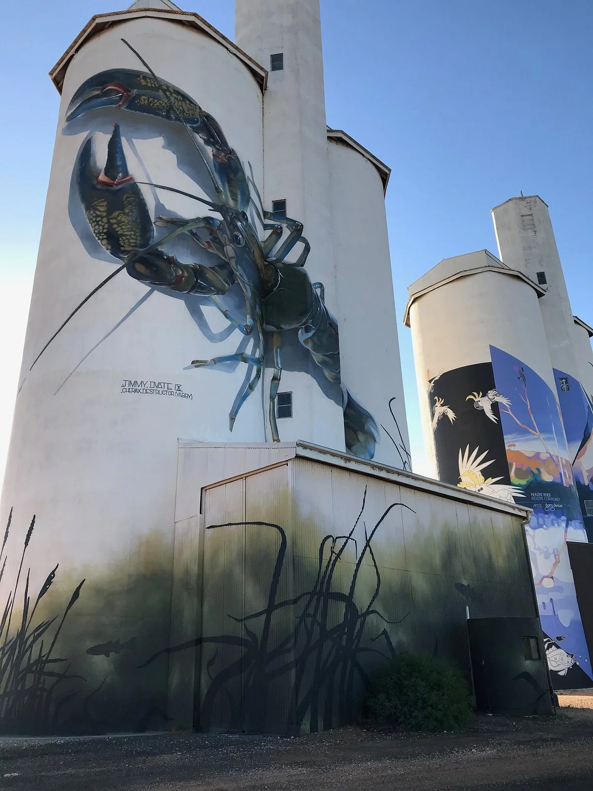 Waikerie Silo Art