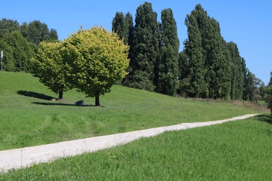 Wollondilly River Walkway