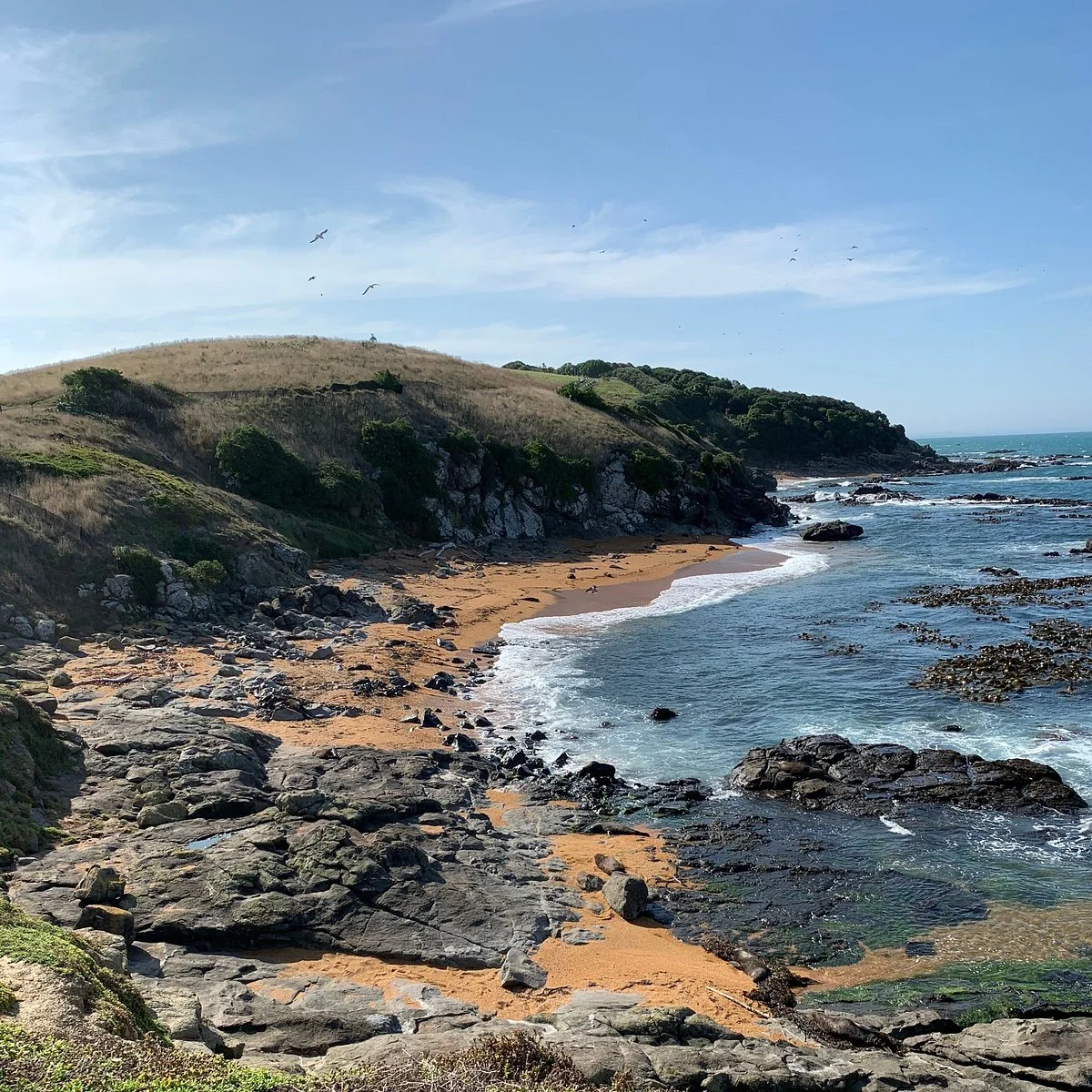 Katiki Point Lighthouse