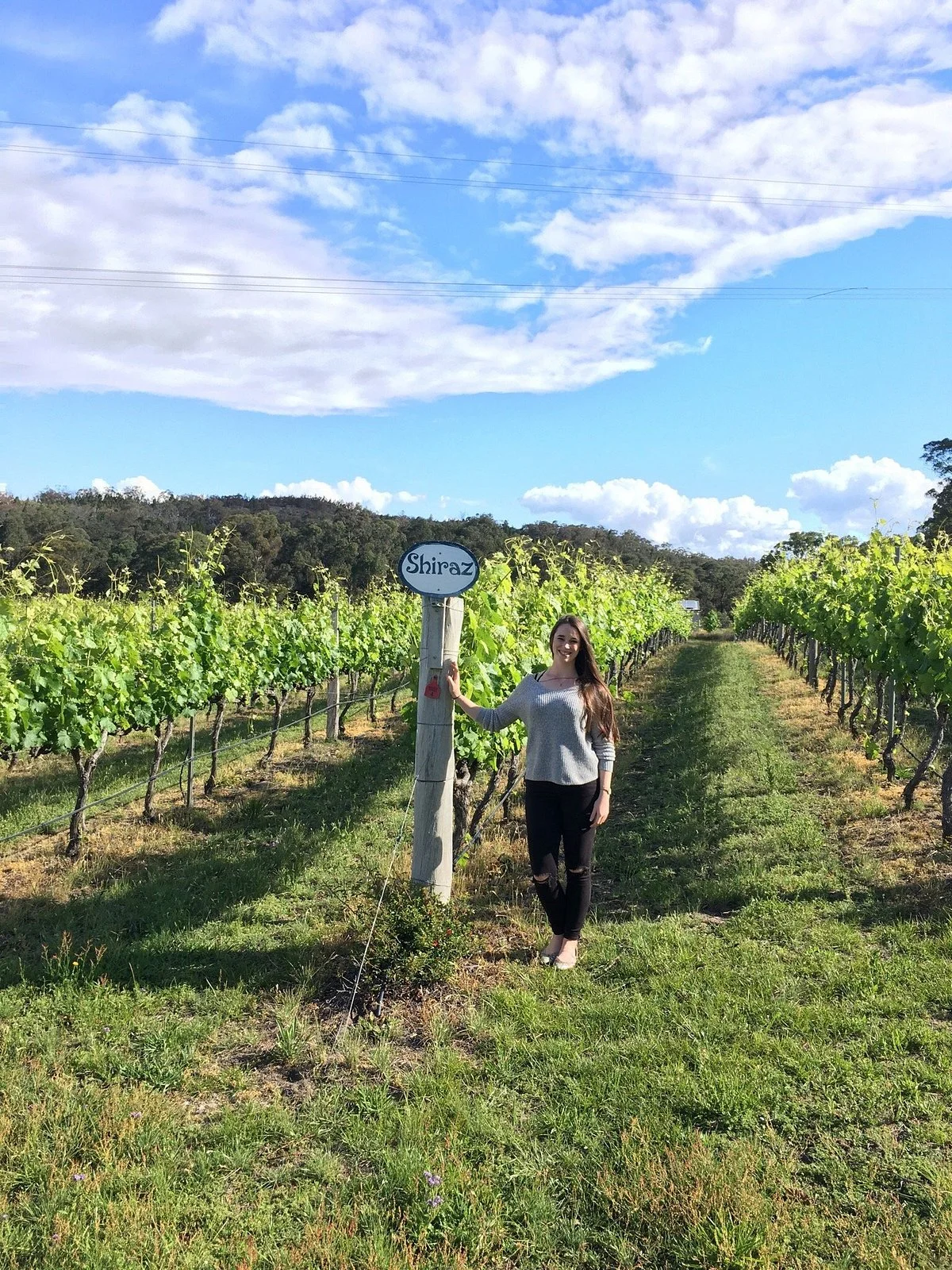 Boireann Winery
