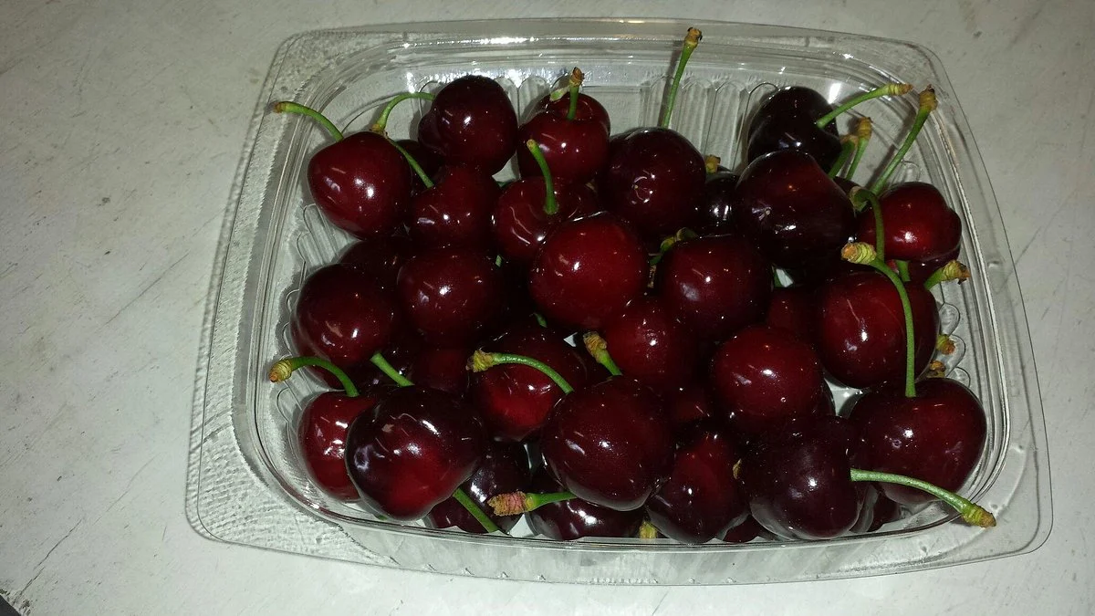 Ruby Glen Orchard