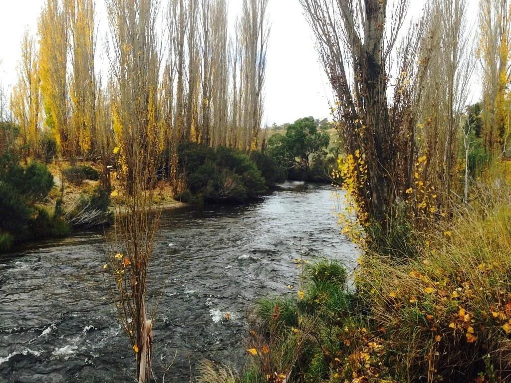 Gaden Trout Hatchery