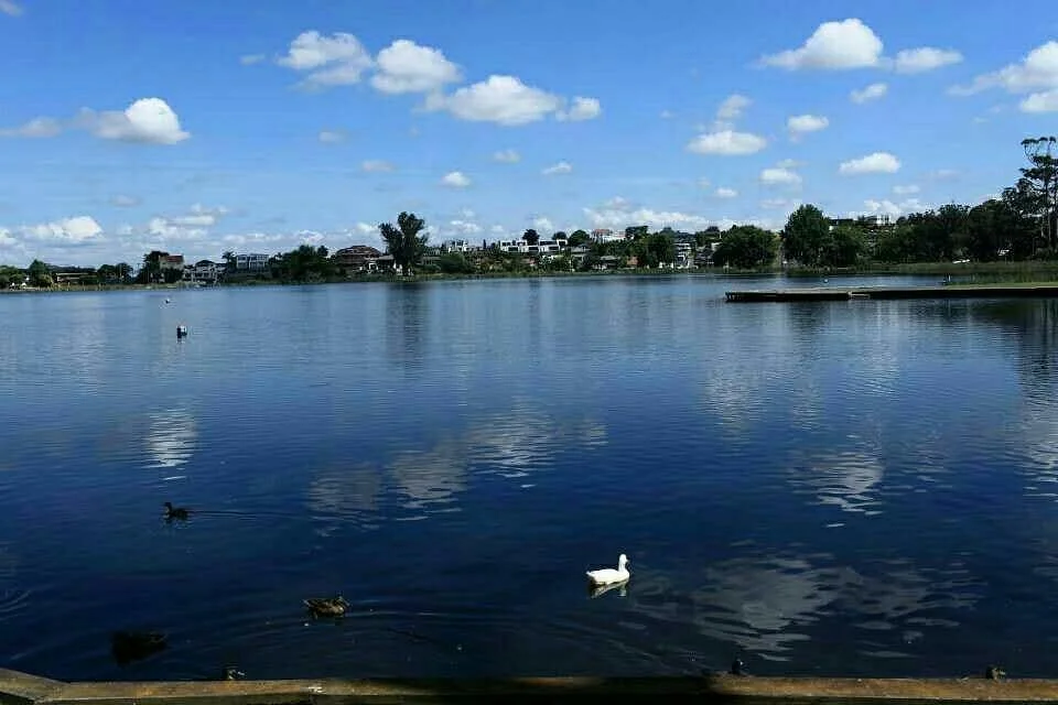 Hamilton Lake Domain