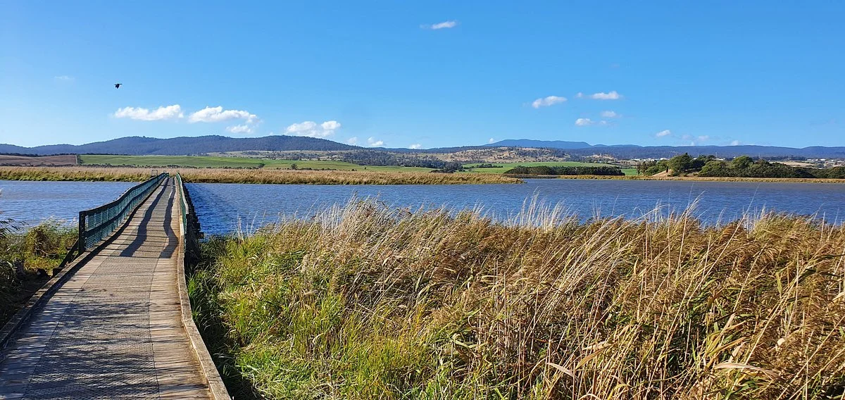 Tamar Island Wetlands