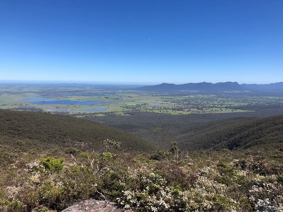 Mt Sturgeon