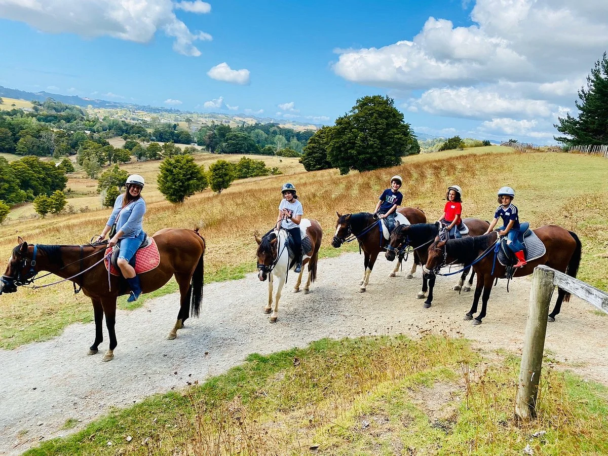 Horse Riding Warkworth