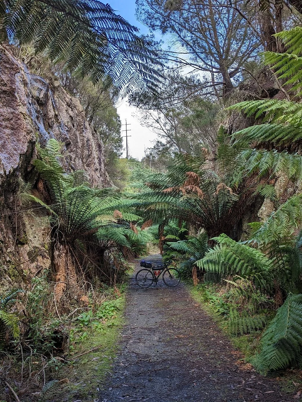 North East Rail Trail