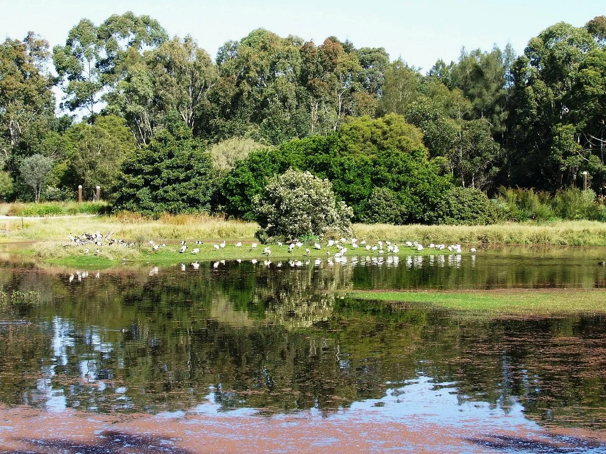 Hunter Wetlands Centre