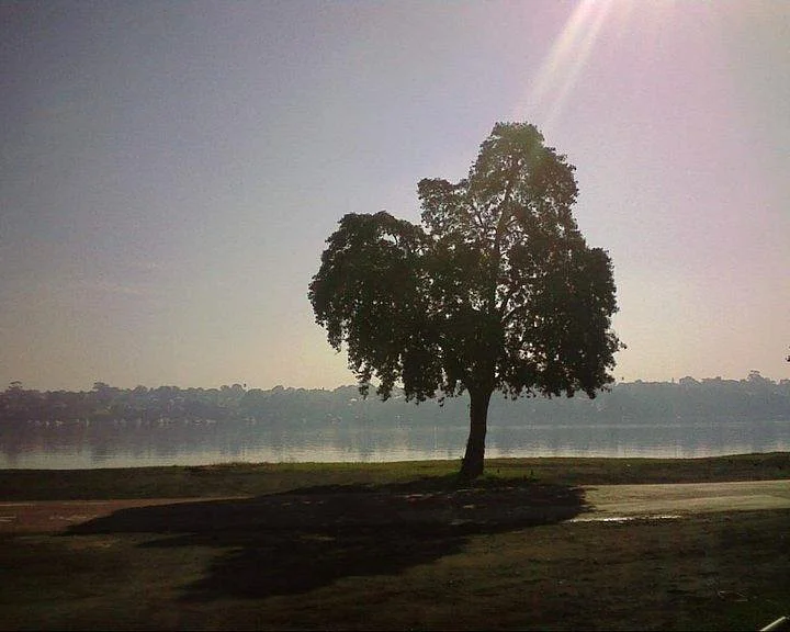Callan Park
