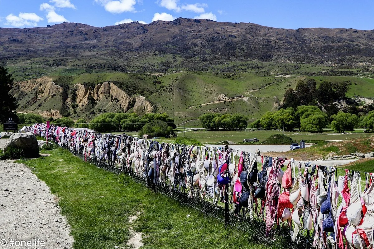 Cardrona Bra Fence