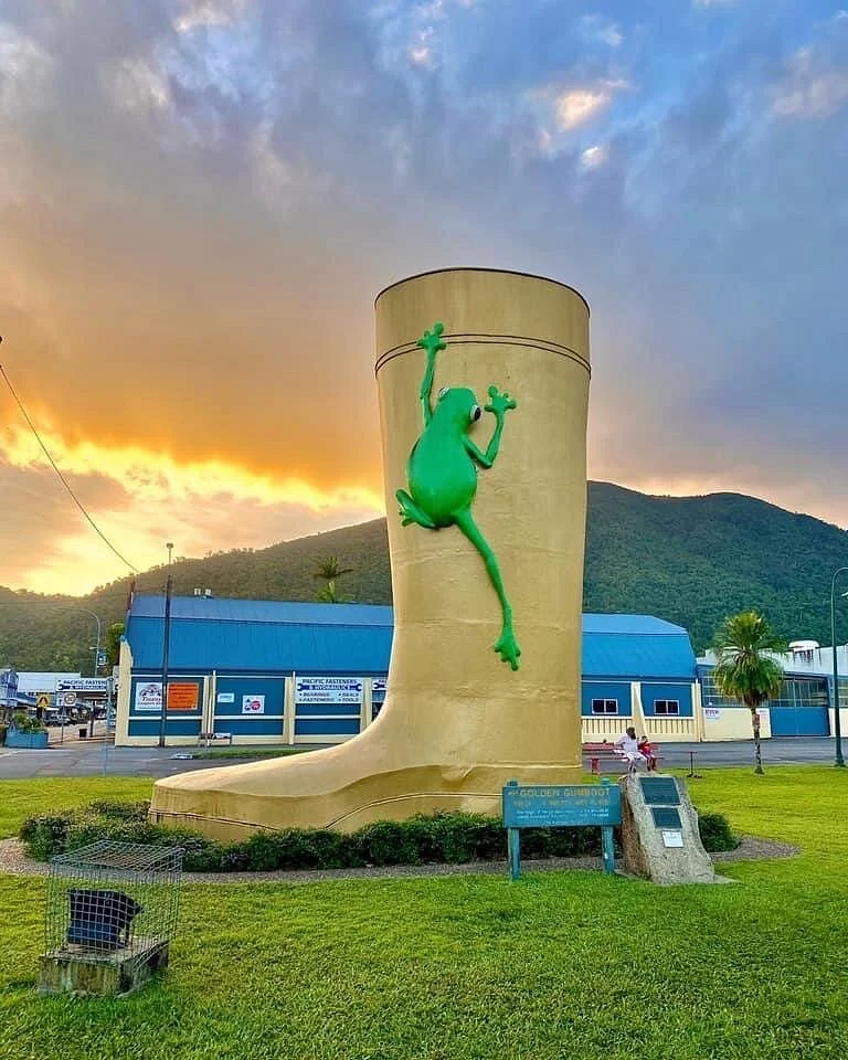 Golden Gumboot