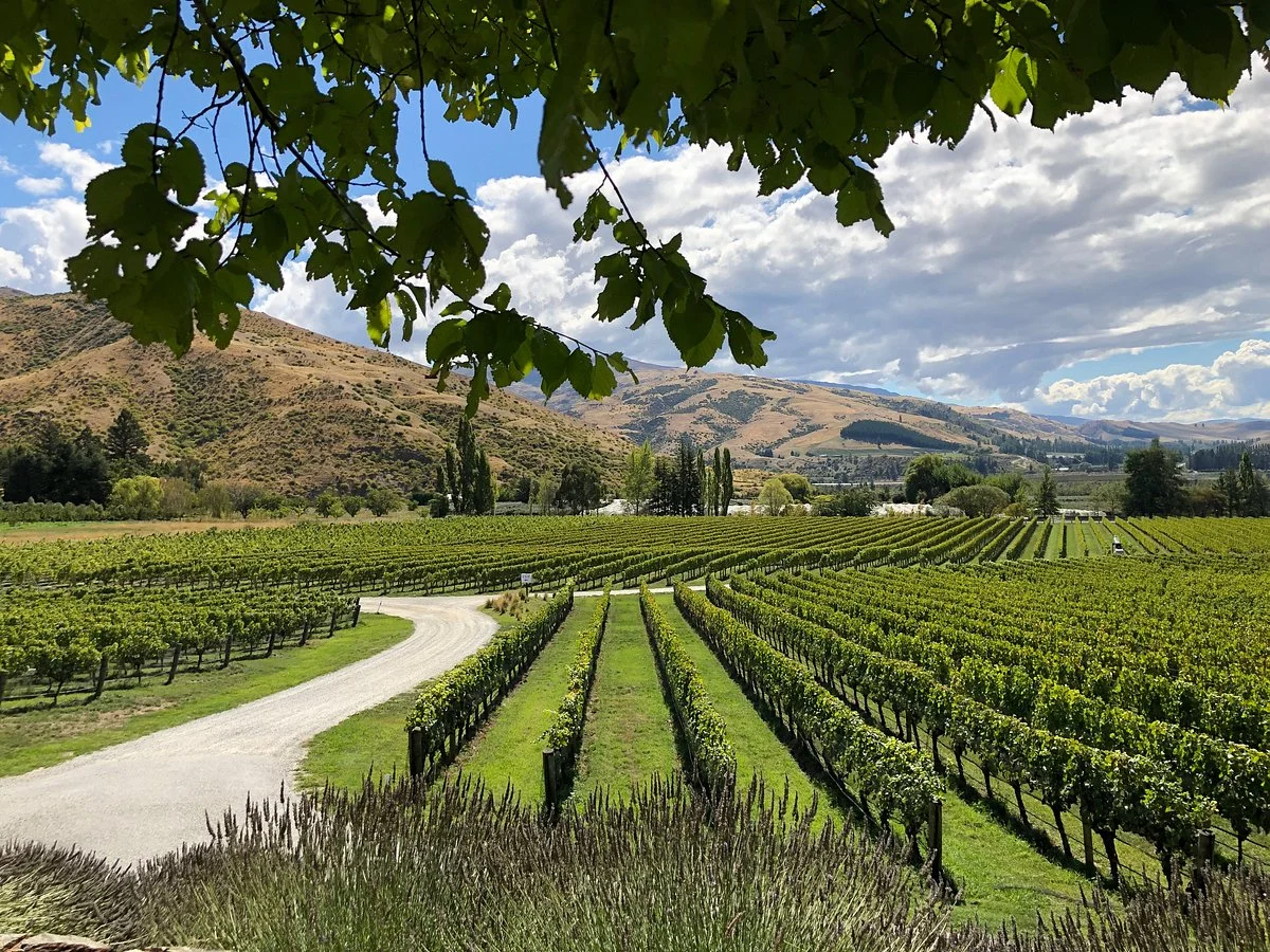 Felton Road Wines