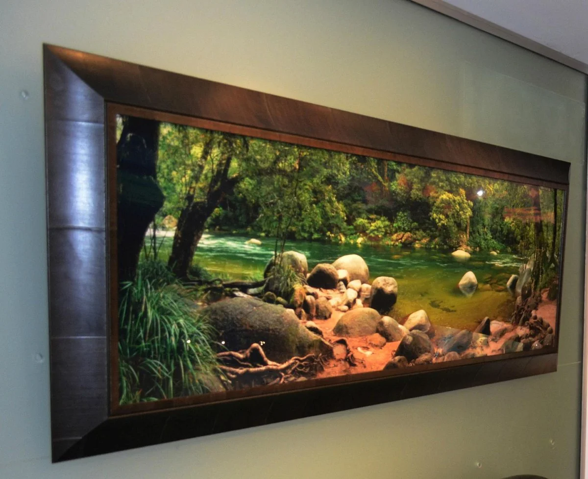 Michael Seebeck Gallery