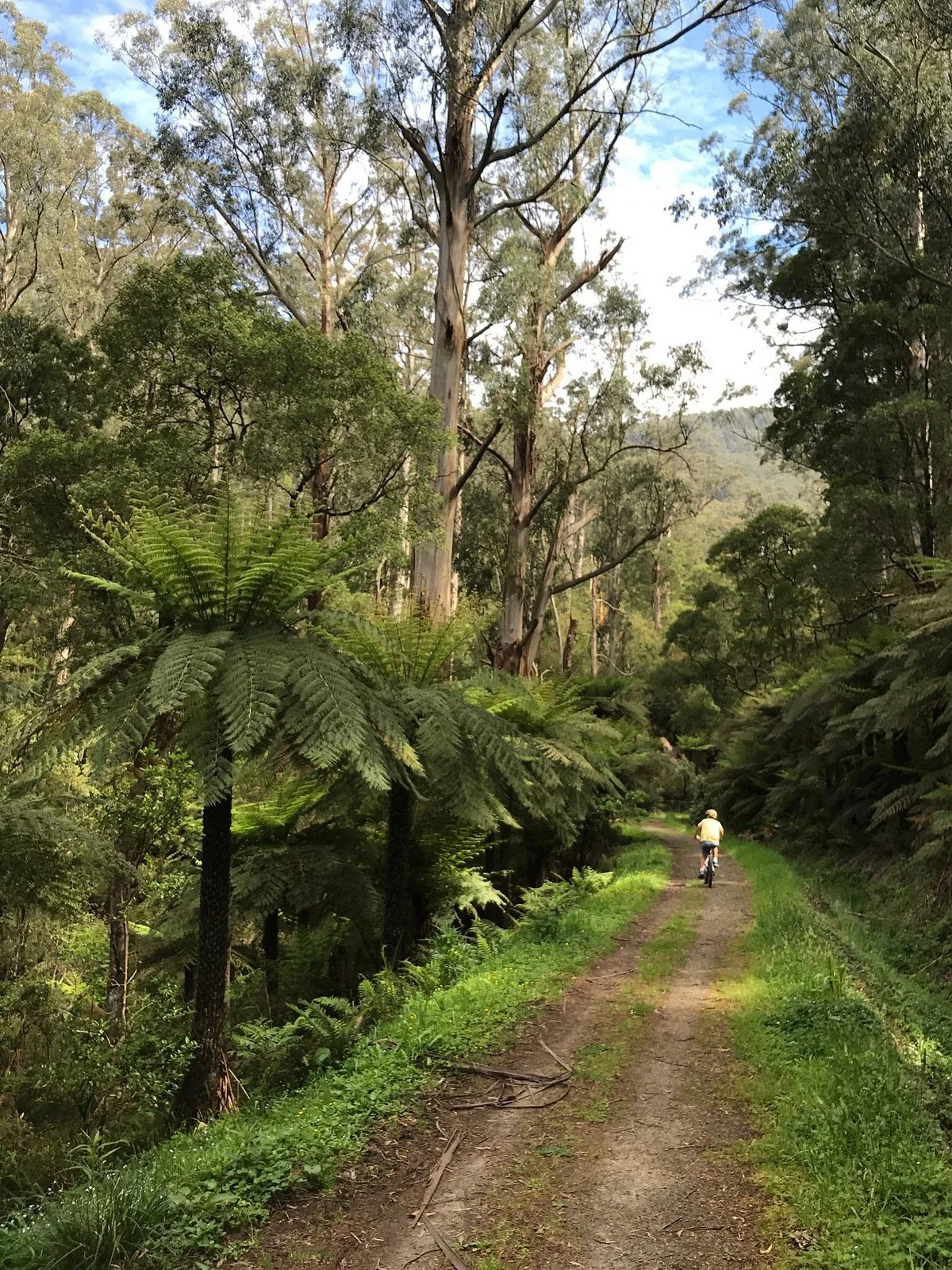 O'Shannassy Trail
