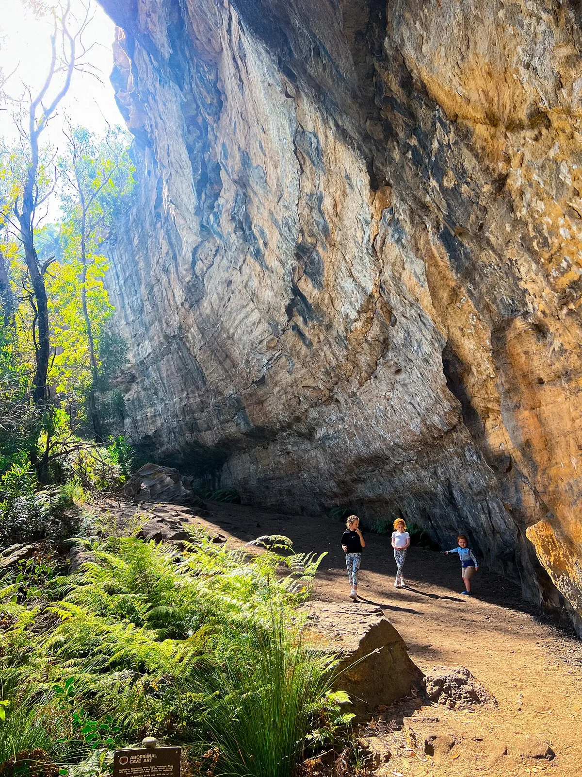 Blackfellows Hand Cave