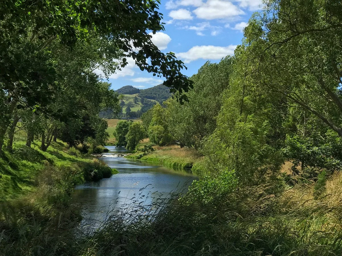 Hauraki Rail Trail