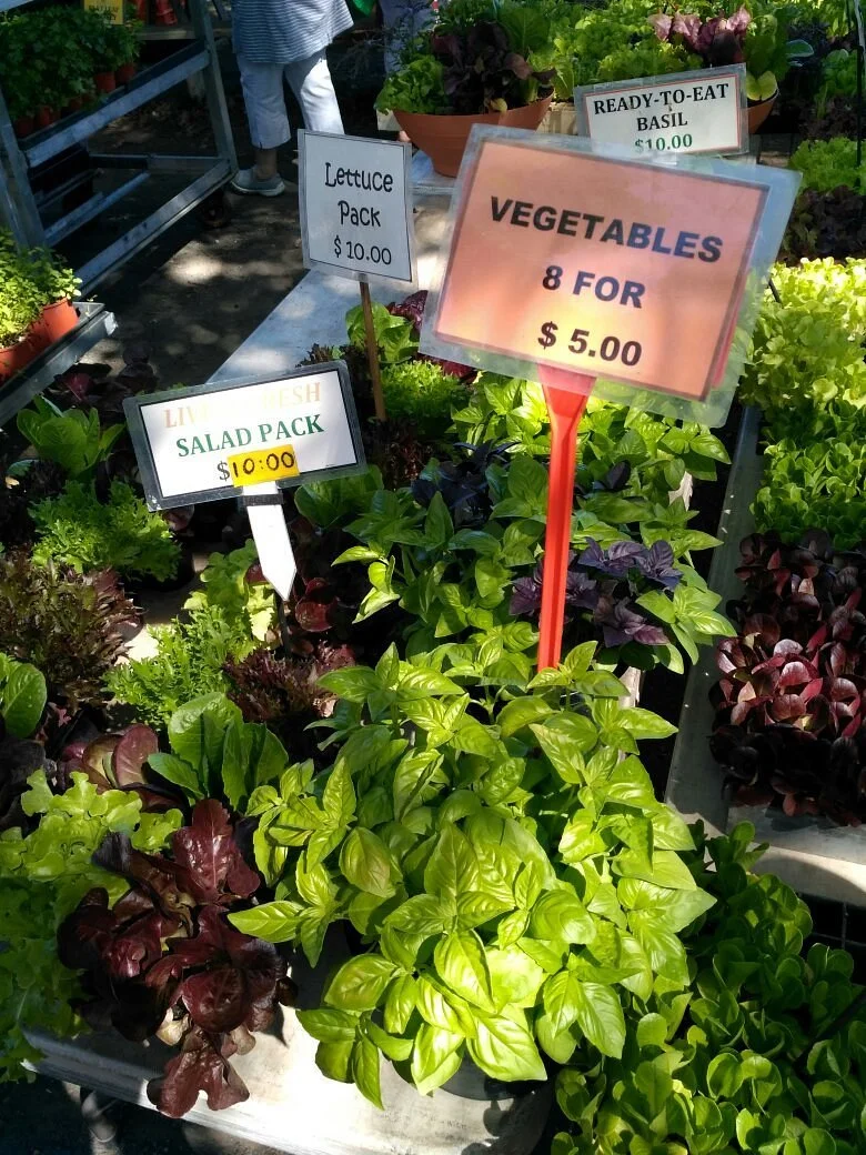 Berry Country Fair