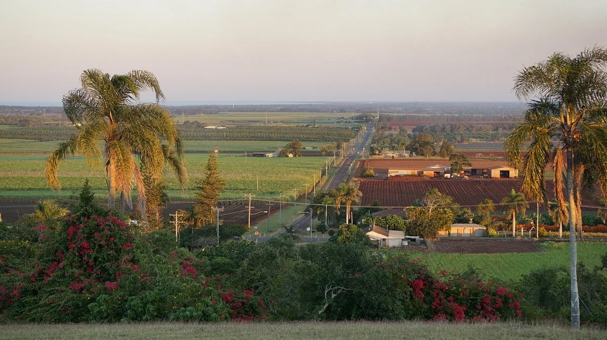 Hummock Lookout