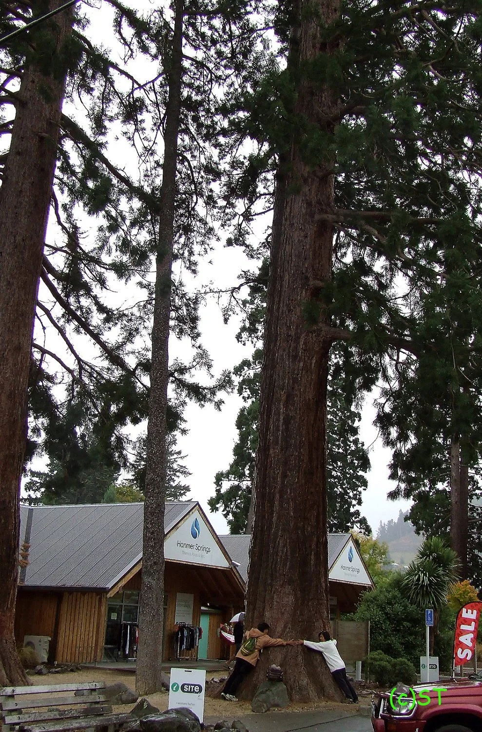 Hurunui Information Centre