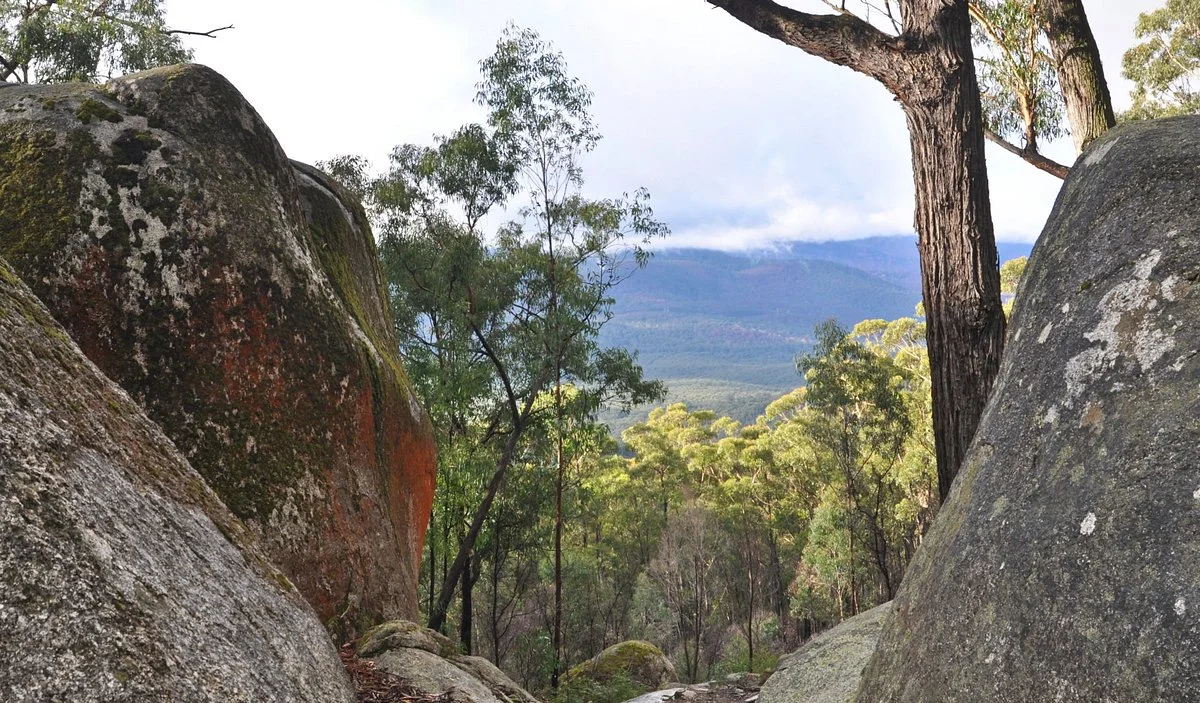 Bunyip State Park