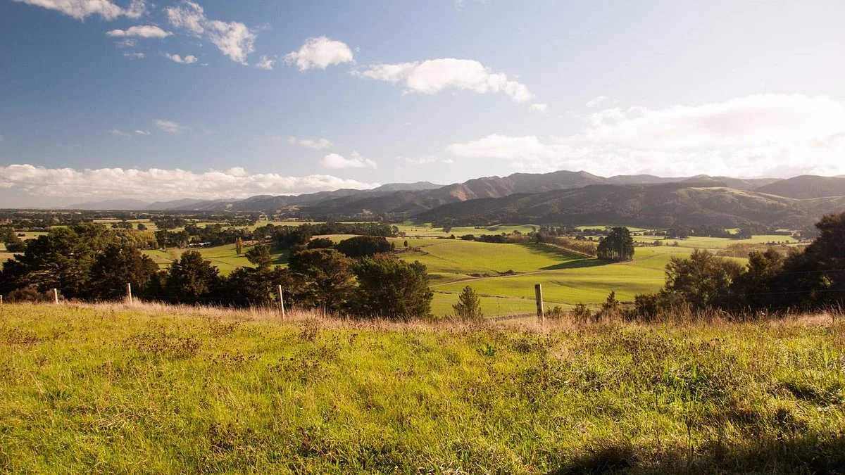Fensham Bush Reserve