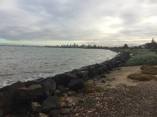 North Road Reserve