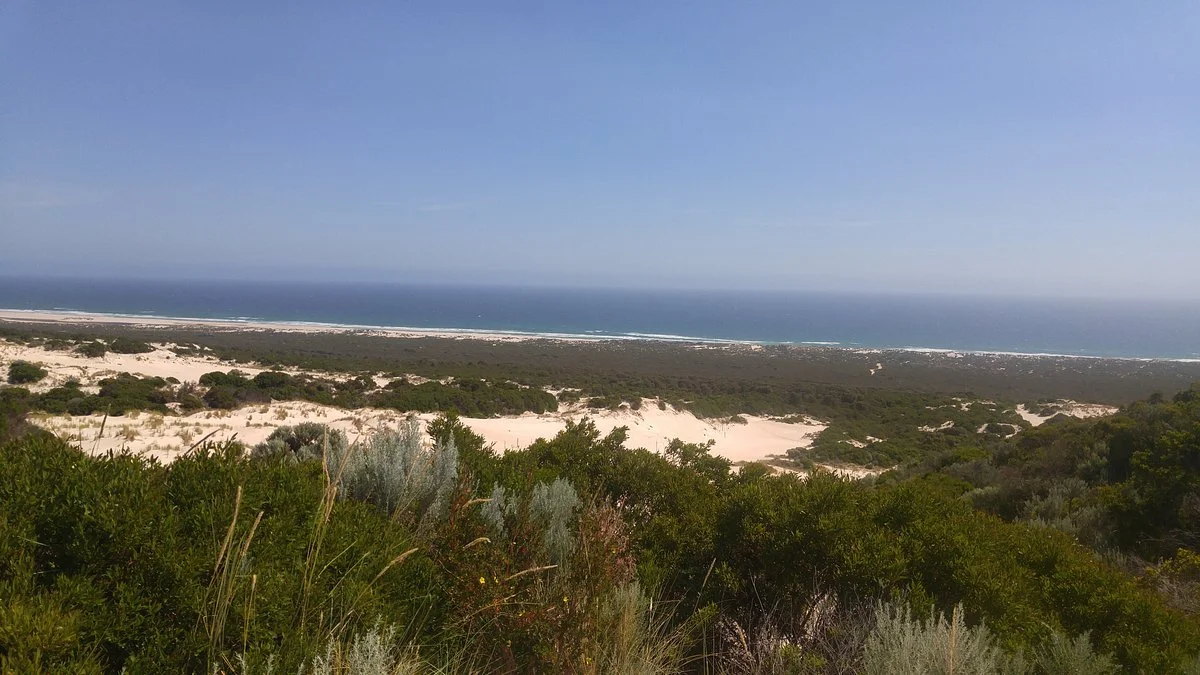 Yeagarup Dunes