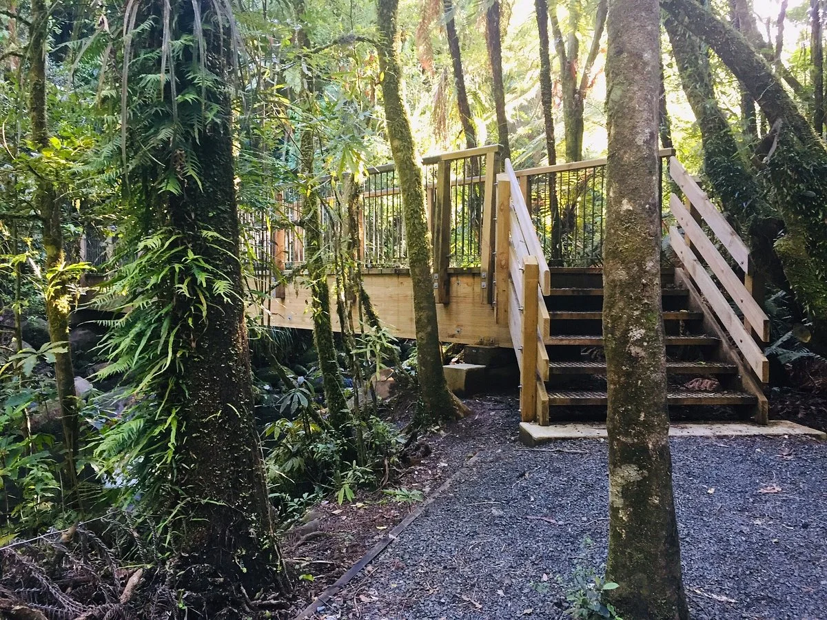 Pirongia Forest Park