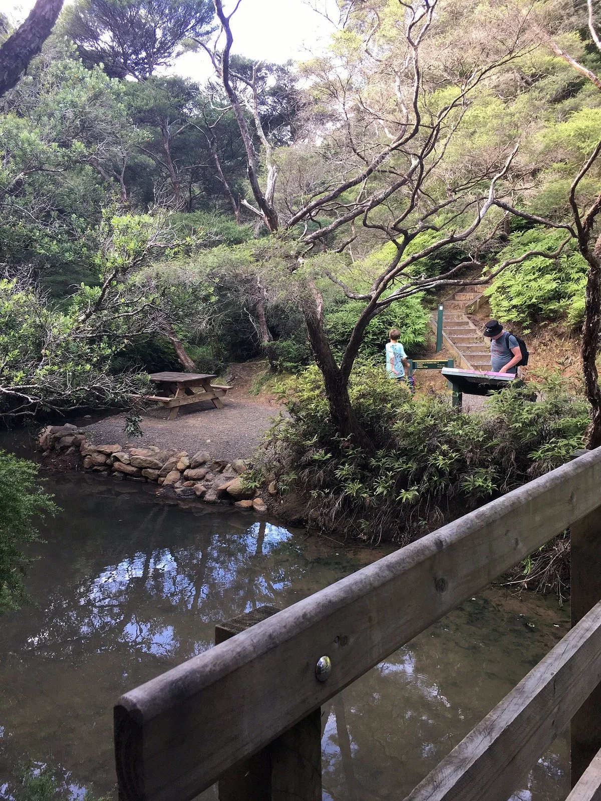 Kaitoke Hot Springs